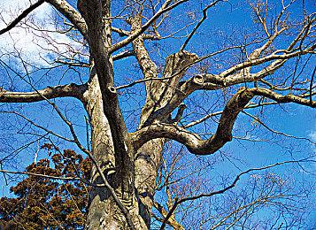 被盗号了？《GTA6》女主演员突然注销社媒账号